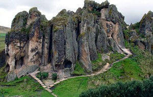 bosque de piedra