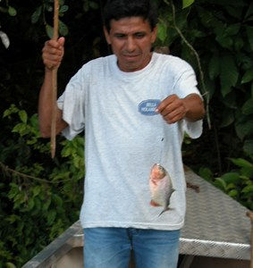 selva amazonica